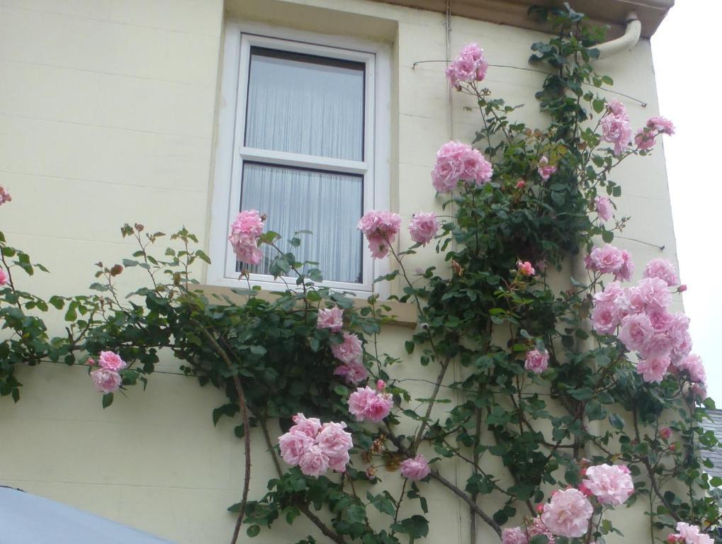 Bayview Guest House Saint Helier Jersey Extérieur photo